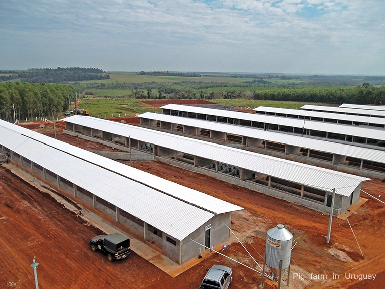 pig farm