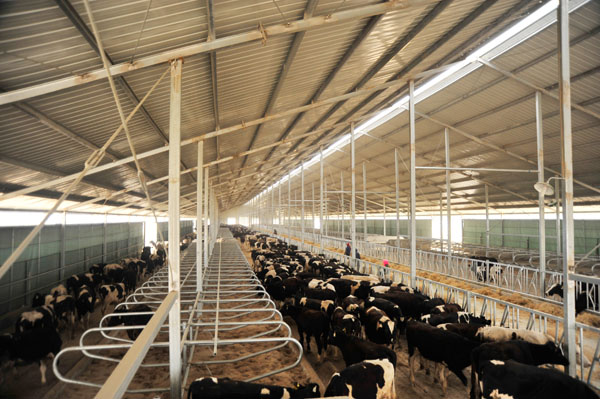 Protect Your Poultry and Livestock with Durable, Temperature-Control Roofing Solutions