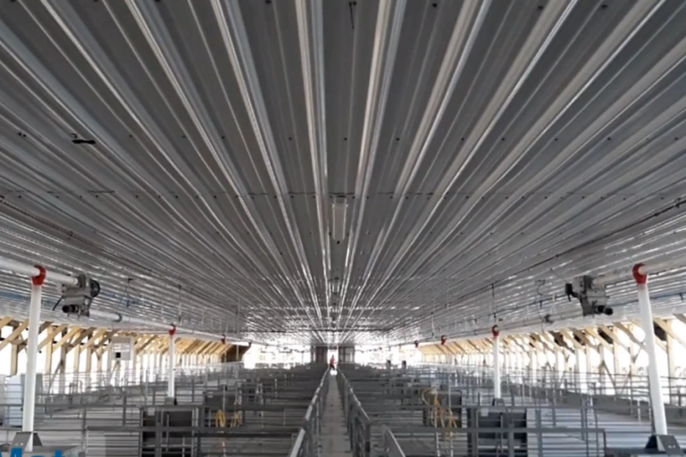 Pig-farming-project5-1-768x512