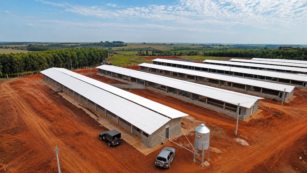 UPVC Roofing Sheet Price What Affects Cost Before Bulk Orders