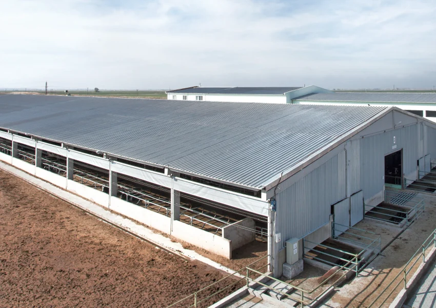 Best Roofing Sheets for Dairy Farms Heat Insulation Ventilation and Cleaning Needs