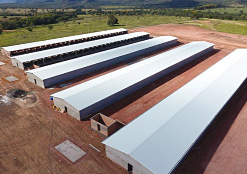 UPVC Roof Sheet Vs Color Steel Sheet For Livestock Farms