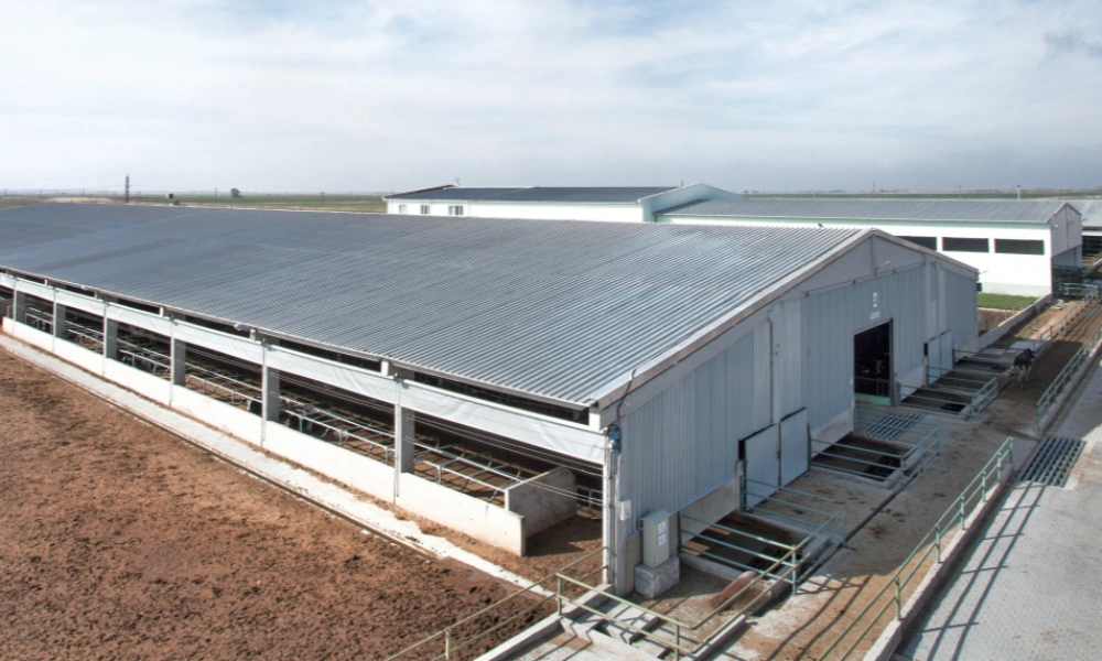 dairy farm