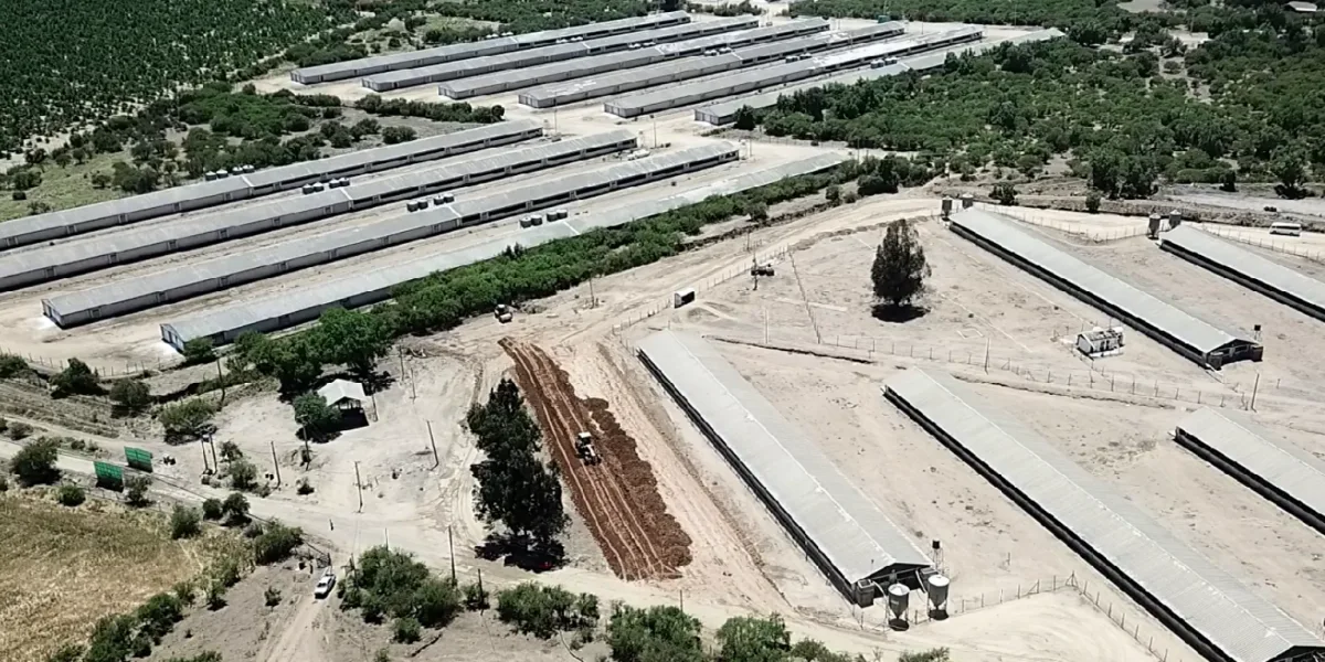livestock farm