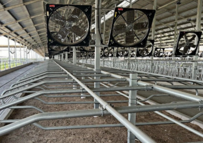 livestock farm