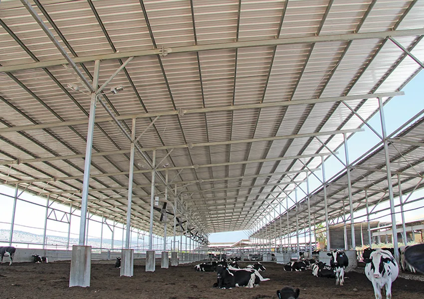 How to Plan Roof Sheet Specifications for Large Livestock Buildings
