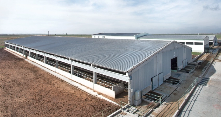 How to Upgrade Existing Livestock Roofs Without Full Tear-Off TSP Steel Sheet Retrofit Guide