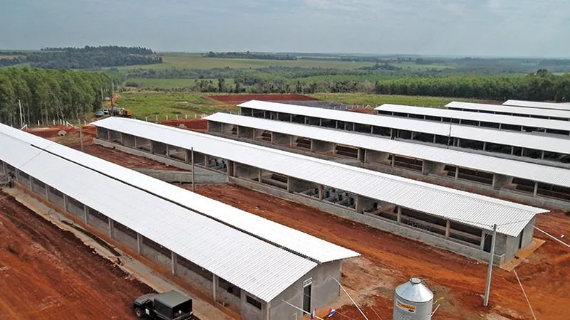 TSP steel roof sheet poultry house