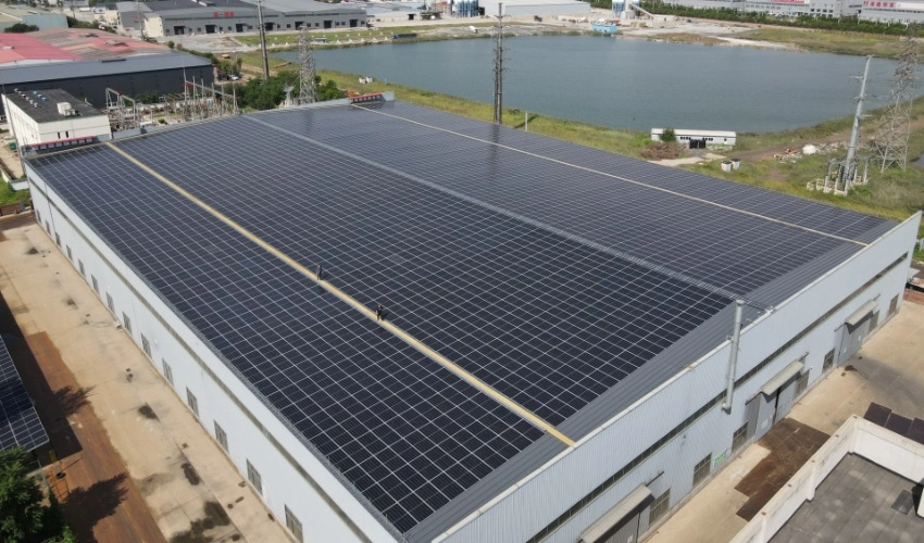 When Should Livestock Farms Replace Color Steel Roofs With TSP Film Coated Steel