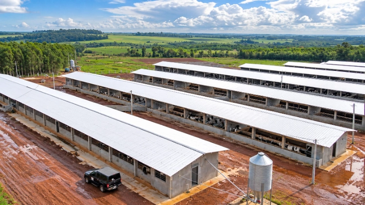 Why Do UPVC Livestock Barn Roofs Leak After Heavy Rain
